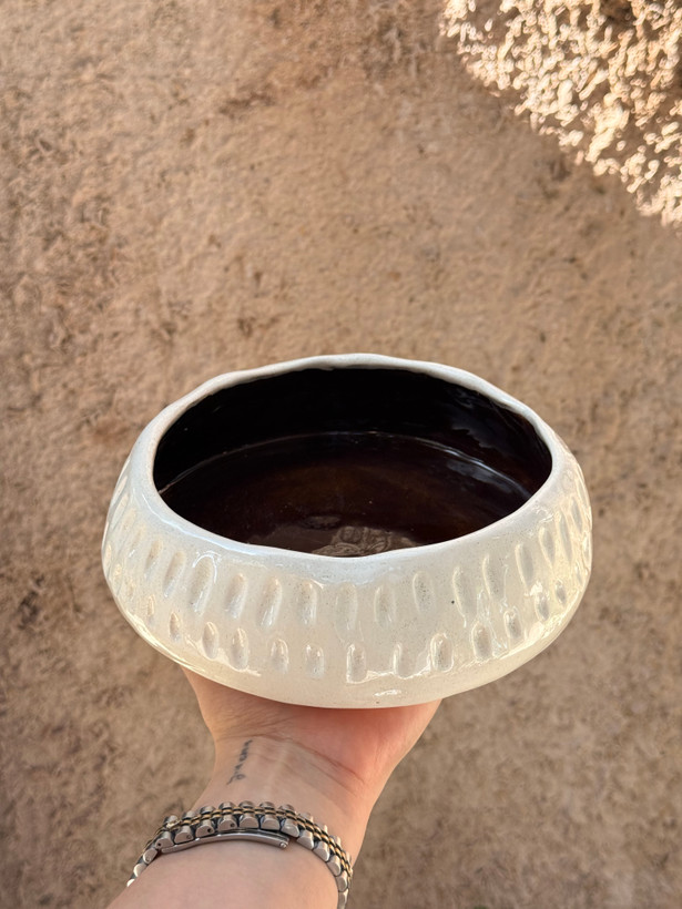 کاسه میوه آجیل مانوش