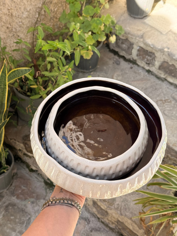 کاسه میوه آجیل مانوش